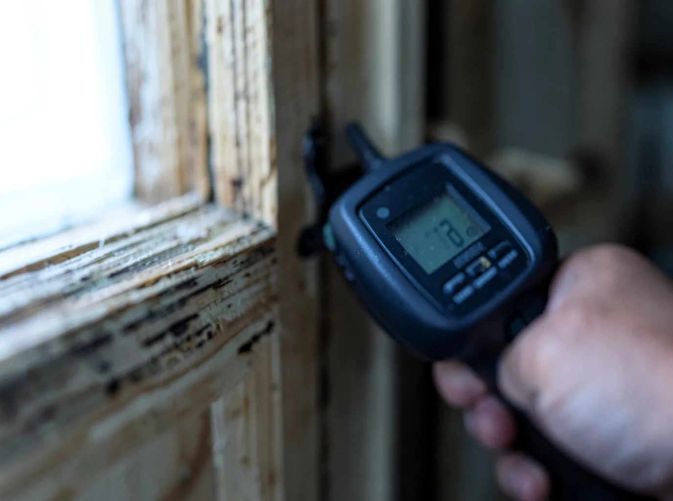Moisture Inspection And Documentation in Lake City, CO